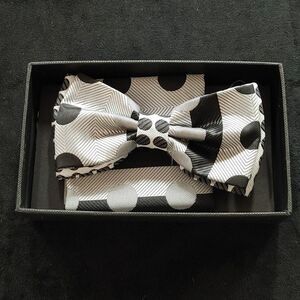 ROBERT LEWIS MEN'S BOWTIE AND POCKET SQUARE SET.